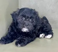 processed/82f1eccb-1b49-4800-a138-e407c753f581/listing/2c6ae6fe-557d-438b-91b9-46158e58087d/68875595-3948-4d1a-8a26-b14025a5126c