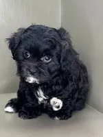 processed/82f1eccb-1b49-4800-a138-e407c753f581/listing/2c6ae6fe-557d-438b-91b9-46158e58087d/7e0d424c-cd87-429b-8fa5-1be187cc09de