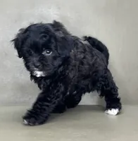 processed/82f1eccb-1b49-4800-a138-e407c753f581/listing/2c6ae6fe-557d-438b-91b9-46158e58087d/b05e37b8-9a90-4864-b469-04c7c466f366