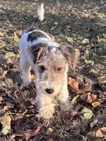 processed/82f1eccb-1b49-4800-a138-e407c753f581/listing/2d22f859-b99c-4803-a54d-563684c81a30/90de9201-a3fc-4b55-b86c-6db1ab255f67