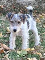 processed/82f1eccb-1b49-4800-a138-e407c753f581/listing/2d22f859-b99c-4803-a54d-563684c81a30/9e7f9c84-4f18-4755-8d8a-9b8d9372774d