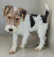 processed/82f1eccb-1b49-4800-a138-e407c753f581/listing/2d22f859-b99c-4803-a54d-563684c81a30/a6d0cc7b-5b32-4f45-9097-1e0b9b4703f4