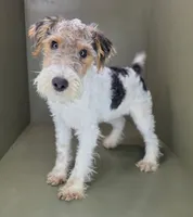 processed/82f1eccb-1b49-4800-a138-e407c753f581/listing/2d22f859-b99c-4803-a54d-563684c81a30/bb2ca4c9-41e2-473b-b85f-d4137e8ce787