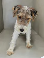 processed/82f1eccb-1b49-4800-a138-e407c753f581/listing/2d22f859-b99c-4803-a54d-563684c81a30/c11b25f0-f098-40d8-8967-d88bf5007899