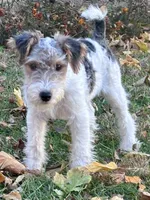 processed/82f1eccb-1b49-4800-a138-e407c753f581/listing/2d22f859-b99c-4803-a54d-563684c81a30/dcf370aa-2da0-4043-bfd6-f52e40875595