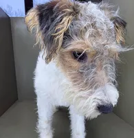 processed/82f1eccb-1b49-4800-a138-e407c753f581/listing/2d22f859-b99c-4803-a54d-563684c81a30/e63ddc77-62c7-4461-baf8-9937ed6813bf