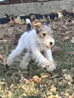 processed/82f1eccb-1b49-4800-a138-e407c753f581/listing/2d22f859-b99c-4803-a54d-563684c81a30/ebd7ef9f-e0da-4b83-9f14-bf6ba4ebae29