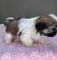 processed/82f1eccb-1b49-4800-a138-e407c753f581/listing/2f53395c-e33a-452c-9d9c-57781eeffa4c/089eed31-99a1-4215-bef9-264aadc96103