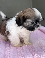 processed/82f1eccb-1b49-4800-a138-e407c753f581/listing/2f53395c-e33a-452c-9d9c-57781eeffa4c/360e6138-e973-4984-8216-e672746e0089