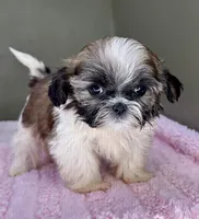 processed/82f1eccb-1b49-4800-a138-e407c753f581/listing/2f53395c-e33a-452c-9d9c-57781eeffa4c/428b6540-1cfc-4c35-8783-9d5c4aac07c8