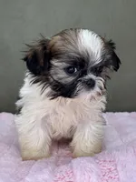 processed/82f1eccb-1b49-4800-a138-e407c753f581/listing/2f53395c-e33a-452c-9d9c-57781eeffa4c/69fef55a-77c7-47fc-ae25-4f58eef18f16