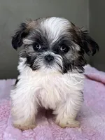 processed/82f1eccb-1b49-4800-a138-e407c753f581/listing/2f53395c-e33a-452c-9d9c-57781eeffa4c/7563ea16-fb2d-4c5b-9ec5-8a655810cc24