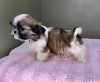 processed/82f1eccb-1b49-4800-a138-e407c753f581/listing/2f53395c-e33a-452c-9d9c-57781eeffa4c/e9adf0a0-f4b8-46f2-a20e-f6906979d7fd