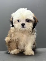 processed/82f1eccb-1b49-4800-a138-e407c753f581/listing/3c5befe5-8458-4d2c-82b7-c18303381c78/0d803aaa-282a-45ce-aef6-5c37a1dc5724