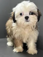 processed/82f1eccb-1b49-4800-a138-e407c753f581/listing/3c5befe5-8458-4d2c-82b7-c18303381c78/39aeada8-df22-4f08-aa57-78166b2c44d6