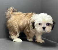 processed/82f1eccb-1b49-4800-a138-e407c753f581/listing/3c5befe5-8458-4d2c-82b7-c18303381c78/5f54a741-f515-4590-8b8f-79d91669f2d1