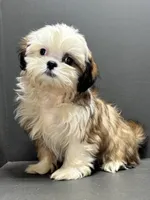 processed/82f1eccb-1b49-4800-a138-e407c753f581/listing/3c5befe5-8458-4d2c-82b7-c18303381c78/8c5ced58-946a-4dc7-aca4-a9d1a792c993