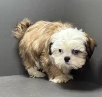 processed/82f1eccb-1b49-4800-a138-e407c753f581/listing/3c5befe5-8458-4d2c-82b7-c18303381c78/9d45923d-27b9-4a35-9173-3d63d65f5f1d