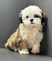 processed/82f1eccb-1b49-4800-a138-e407c753f581/listing/3c5befe5-8458-4d2c-82b7-c18303381c78/ba4b9386-356a-4eb7-983f-3545e469e9ae