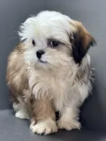 processed/82f1eccb-1b49-4800-a138-e407c753f581/listing/3c5befe5-8458-4d2c-82b7-c18303381c78/efd5e237-5840-4926-92ad-3112a90f2106