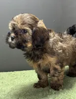 processed/82f1eccb-1b49-4800-a138-e407c753f581/listing/62c75409-c207-4617-bd2f-8fe5c17848fa/191c994f-ebe0-4d12-8a11-05cd689805cd