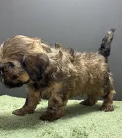 processed/82f1eccb-1b49-4800-a138-e407c753f581/listing/62c75409-c207-4617-bd2f-8fe5c17848fa/1b0799d9-caca-4252-bf96-f36037f992f7