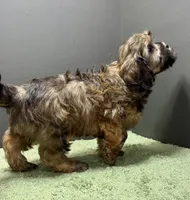 processed/82f1eccb-1b49-4800-a138-e407c753f581/listing/62c75409-c207-4617-bd2f-8fe5c17848fa/24215748-7f32-419c-9c00-b6423ab55eac