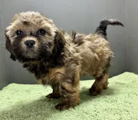 processed/82f1eccb-1b49-4800-a138-e407c753f581/listing/62c75409-c207-4617-bd2f-8fe5c17848fa/3b953ae4-4b6c-4766-b451-e1d3c9799373