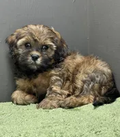 processed/82f1eccb-1b49-4800-a138-e407c753f581/listing/62c75409-c207-4617-bd2f-8fe5c17848fa/7193aac9-9b61-4f56-899c-2dc959134874