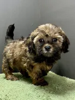 processed/82f1eccb-1b49-4800-a138-e407c753f581/listing/62c75409-c207-4617-bd2f-8fe5c17848fa/7e70c80d-2a16-44df-b80e-4f9fd1d7977b