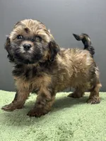 processed/82f1eccb-1b49-4800-a138-e407c753f581/listing/62c75409-c207-4617-bd2f-8fe5c17848fa/d8317b7f-32f1-4ab1-b213-189327ab2d46