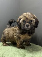 processed/82f1eccb-1b49-4800-a138-e407c753f581/listing/62c75409-c207-4617-bd2f-8fe5c17848fa/ee90aef8-26aa-41bb-b38a-8b0a394c2c50