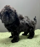 processed/82f1eccb-1b49-4800-a138-e407c753f581/listing/6b476422-0d0f-4985-85ae-9beb8b57e8cb/11d7ce63-196a-4aec-a94d-d76b7b95897b