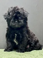 processed/82f1eccb-1b49-4800-a138-e407c753f581/listing/6b476422-0d0f-4985-85ae-9beb8b57e8cb/1e583ac3-3d01-428f-ad18-8eace437506b