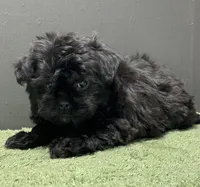 processed/82f1eccb-1b49-4800-a138-e407c753f581/listing/6b476422-0d0f-4985-85ae-9beb8b57e8cb/34c72bf1-0d66-4301-aff4-47b998fd27d1