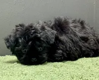 processed/82f1eccb-1b49-4800-a138-e407c753f581/listing/6b476422-0d0f-4985-85ae-9beb8b57e8cb/451ac4db-6d02-4e55-843b-7bf5aa6d5fe0