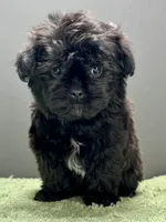 processed/82f1eccb-1b49-4800-a138-e407c753f581/listing/6b476422-0d0f-4985-85ae-9beb8b57e8cb/69b39c4d-a58f-49d0-8c02-b9ee5bc5c2b1