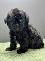 processed/82f1eccb-1b49-4800-a138-e407c753f581/listing/6b476422-0d0f-4985-85ae-9beb8b57e8cb/6e8bb4ca-7fad-412b-b8c2-48a04252572f