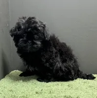 processed/82f1eccb-1b49-4800-a138-e407c753f581/listing/6b476422-0d0f-4985-85ae-9beb8b57e8cb/c7df9c85-086d-4e51-8e5e-15590630df13