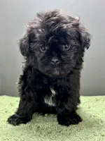 processed/82f1eccb-1b49-4800-a138-e407c753f581/listing/6b476422-0d0f-4985-85ae-9beb8b57e8cb/e2f1b139-adc0-4982-9642-fb9e5953d8ed