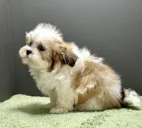 processed/82f1eccb-1b49-4800-a138-e407c753f581/listing/6cd9b3f2-4f62-415a-821e-5d04b2d08c9b/0b97e592-e008-43c2-b2c6-260268f900d7