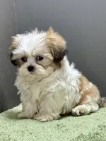 processed/82f1eccb-1b49-4800-a138-e407c753f581/listing/6cd9b3f2-4f62-415a-821e-5d04b2d08c9b/431ee3ad-4375-4842-bab0-2b120117cfbf