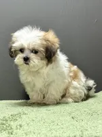 processed/82f1eccb-1b49-4800-a138-e407c753f581/listing/6cd9b3f2-4f62-415a-821e-5d04b2d08c9b/7af00856-ae8b-405c-a791-6fa8630c39e9