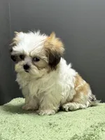 processed/82f1eccb-1b49-4800-a138-e407c753f581/listing/6cd9b3f2-4f62-415a-821e-5d04b2d08c9b/992e5e5d-5b6b-493b-a10c-f2c4925914d8