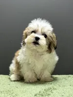 processed/82f1eccb-1b49-4800-a138-e407c753f581/listing/6cd9b3f2-4f62-415a-821e-5d04b2d08c9b/c01f9ea5-fc67-4a32-bac0-cd90139b4443