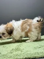 processed/82f1eccb-1b49-4800-a138-e407c753f581/listing/6cd9b3f2-4f62-415a-821e-5d04b2d08c9b/e26e91a5-5af8-42de-ab46-aff9510f1761