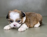 processed/82f1eccb-1b49-4800-a138-e407c753f581/listing/99d3d494-fa88-4dbc-9155-0e41ac1610f3/1a6cb90e-539b-4538-83a2-86755d20950d