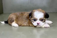 processed/82f1eccb-1b49-4800-a138-e407c753f581/listing/99d3d494-fa88-4dbc-9155-0e41ac1610f3/314ff769-69d1-464b-b69f-fd6f3a1f91b1