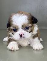 processed/82f1eccb-1b49-4800-a138-e407c753f581/listing/99d3d494-fa88-4dbc-9155-0e41ac1610f3/50ceaeaa-c222-4bf1-864e-4a74f213492b