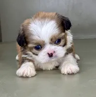 processed/82f1eccb-1b49-4800-a138-e407c753f581/listing/99d3d494-fa88-4dbc-9155-0e41ac1610f3/d4ccca6b-6f63-49f4-8d3a-074ee98c198f